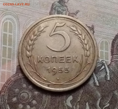5 копеек 1955. До 17.10.20 в 22.00 - 20201015_140514