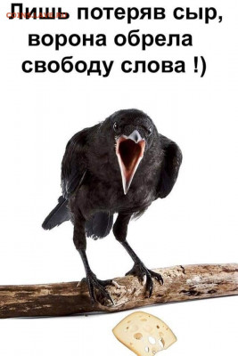 Про Беларусь - 0 a 57 grw34 