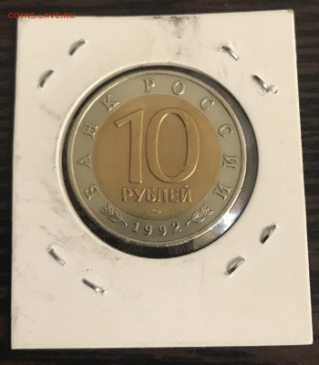 Красная книга Амурский тигр, до 18.10 22:00 мск - 7068B1FC-4D1B-4715-8306-767D9C70F8AF