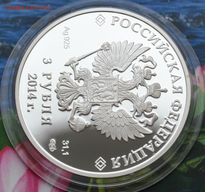 3 рубля Сочи 2014 Горные лыжи - DSC_0043.JPG