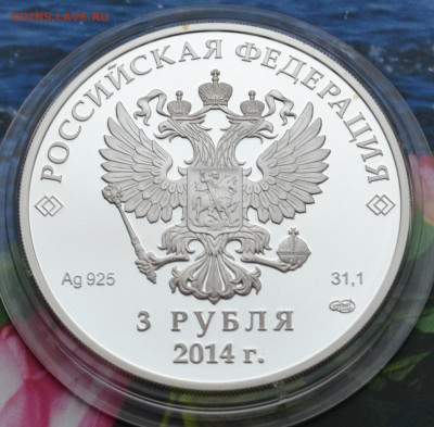 3 рубля Сочи 2014 Горные лыжи - DSC_0042.JPG