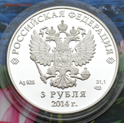 3 рубля Сочи 2014 Скелетон - DSC_0062.JPG