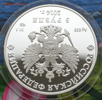 3 рубля Сочи 2014 Сноуборд - DSC_0055.JPG