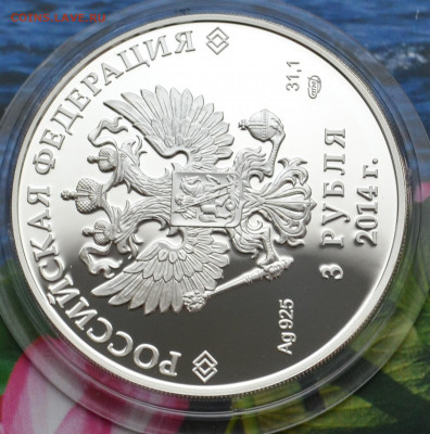 3 рубля Сочи 2014 Фристайл - DSC_0021.JPG