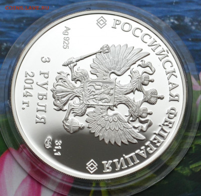 3 рубля Сочи 2014 Фристайл - DSC_0019.JPG