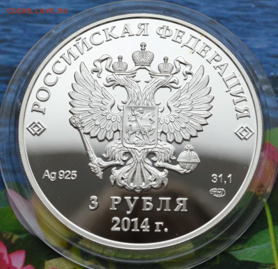 3 рубля Сочи 2014 Фигурное катание - DSC_0006.JPG
