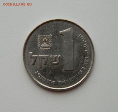 Израиль 1 шекель 1983 г. до 20.10.20 - DSCN1968.JPG