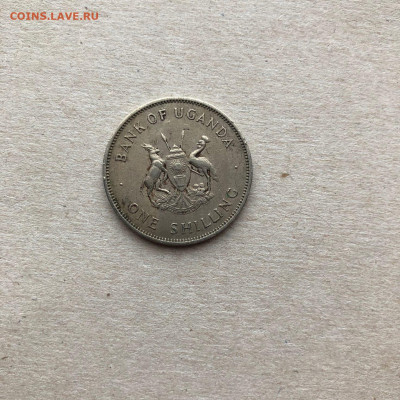 Уганда 1 шиллинг 1966 года, до 20.10. - kI2N4U05FI8