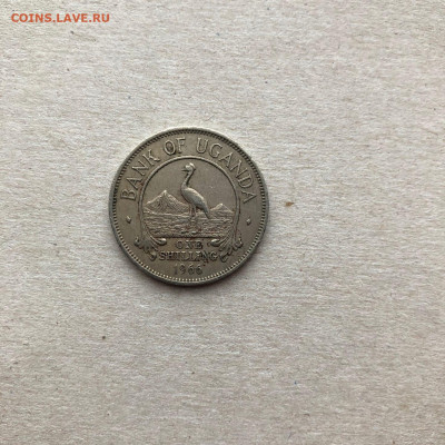 Уганда 1 шиллинг 1966 года, до 20.10. - Na2aAeYQZ2Y