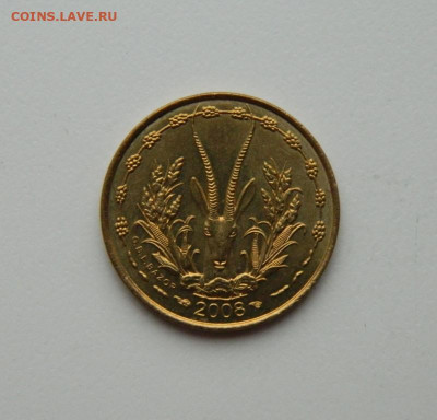 Западная Африка (ВСЕАО) 5 франков 2008 г.(Фауна) до 22.10.20 - DSCN2190.JPG