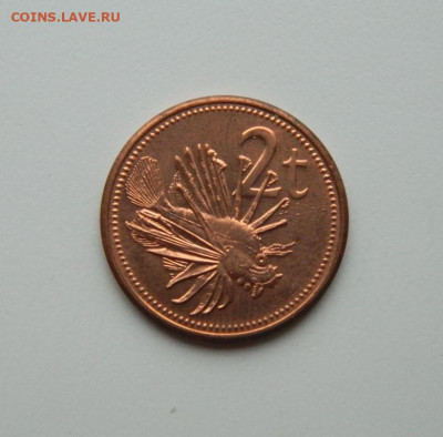 Папуа-Новая Гвинея 2 тойя 2002 г. (Фауна) до 22.10.20 - DSCN2159.JPG