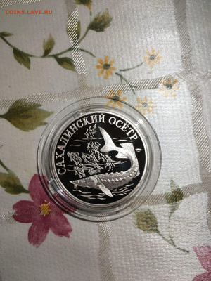 1 руб. Красная книга Сахалинский осетр, 2001 до 24.10 - 8NBtLwMud_4