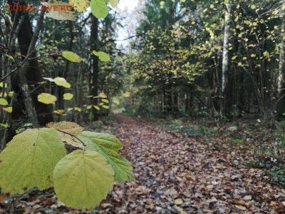 делает - прямо сейчас !!! - IMG-20201017-WA0002