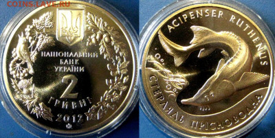 УКРАИНА 2 гр Стерлядь пресноводная 2012г До 21-10 В 22-00 м - стенл