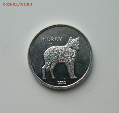 Нагорный Карабах 1 драм 2013 г. (Фауна) до 26.10.20 - DSCN2353.JPG