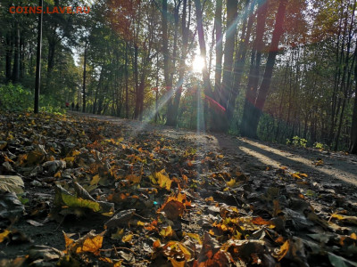 делает - прямо сейчас !!! - IMG-20201001-WA0001