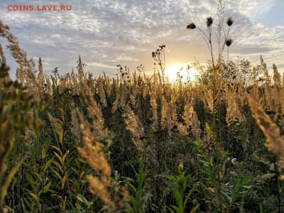 делает - прямо сейчас !!! - IMG-20200927-WA0024