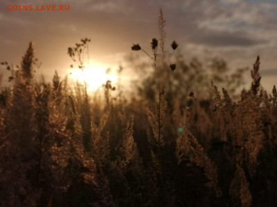 делает - прямо сейчас !!! - IMG-20200927-WA0023