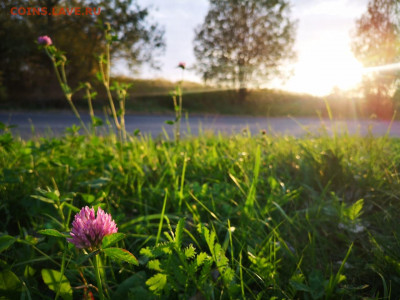 делает - прямо сейчас !!! - IMG-20200927-WA0021