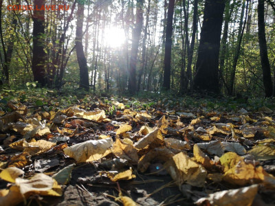 делает - прямо сейчас !!! - IMG-20200927-WA0017