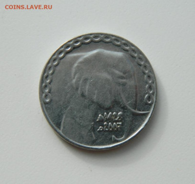 Алжир 5 динаров 2007 г. (Фауна) до 26.10.20 - DSCN2356.JPG