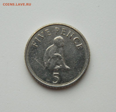 Гибралтар 5 пенсов 2008 г. (Фауна) до 26.10.20 - DSCN2373.JPG