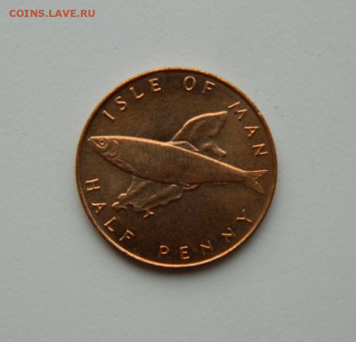 2 пенни 1976 год (Фауна), без обращения до 26.10.20 - DSCN2404.JPG