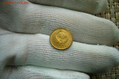 1 копейка 1982 UNC - 25-10-20 - 23-10 мск - P2300766.JPG
