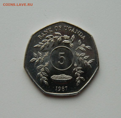 Уганда 5 шиллингов 1987 г.(без обращения)до 28.10.20 - DSCN2376.JPG