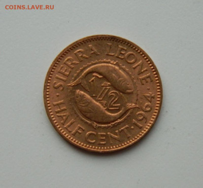 2 цента 1964 г.(Рыбы) до 28.10.20 - DSCN2389.JPG