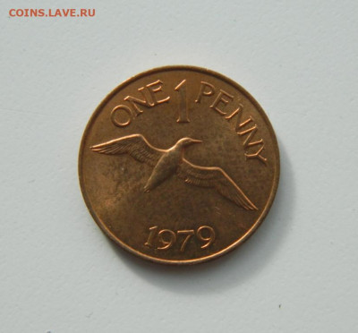 Гернси 1 пенни 1979 г. (Фауна)без обращения до 28.10.20 - DSCN2359.JPG