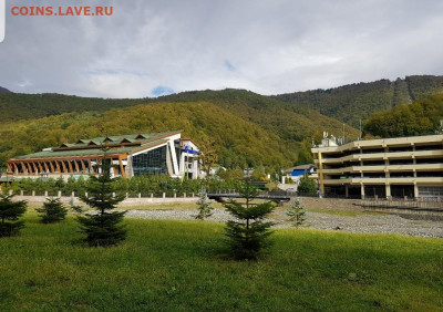 делает - прямо сейчас !!! - Screenshot_20201023-064926_Gallery