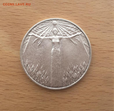 серебряная школьная медаль России образца 1992 года - serebrjanaja_shkolnaja_medal_rossii_obrazca_1992_goda_serebro_za_osobye_uspekhi_v_uchenii_40 (2)