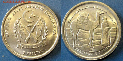 Западная Сахара 5 песет Год 1992 Окончание: 26-10 В 22-00 мс - 5 песет