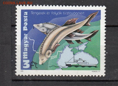Венгрия 1979 сейнер рыба 1м** до 29 10 - 6г