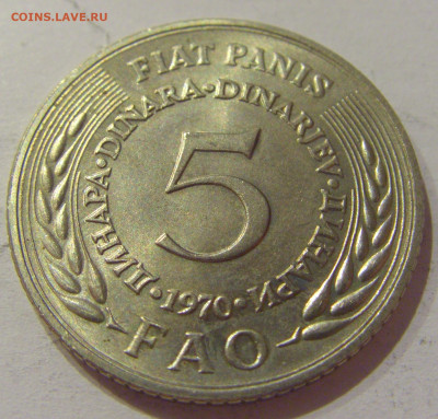 5 динар 1970 ФАО Югославия №2 30.10.2020 22:00 МСК - CIMG0469.JPG