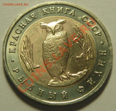 Рыбный филин 5р. 91г. Раскол #1 до 26.09.11 в 22-00 - 1