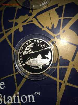 1 руб. Красная книга Волховский Сиг, 2005 до 30.10 - kJHWUmRGDiM