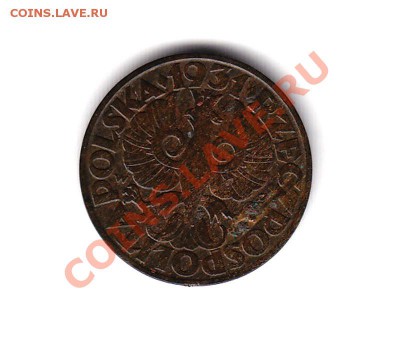 Польша 5 грош 1931г. до 26,09,11 в 22.00 МСК - 12