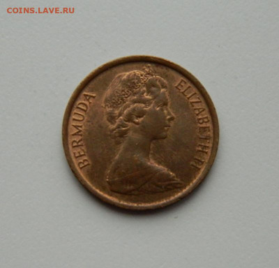 Бермудские острова 1 цент 1980 г. (Фауна). до 29.10.20 - DSCN2496.JPG