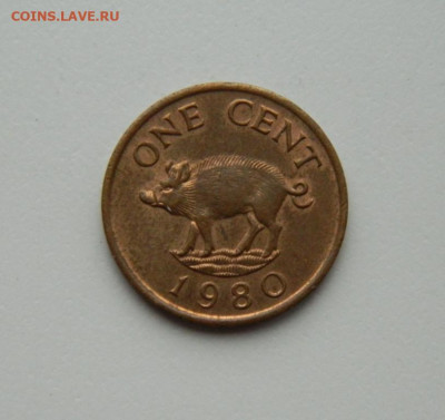 Бермудские острова 1 цент 1980 г. (Фауна). до 29.10.20 - DSCN2497.JPG