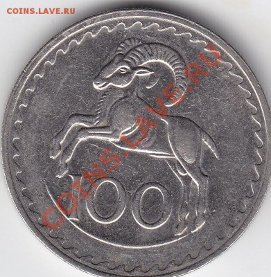 КИПР 100 милс 1982 до 25.09 22:00 мск - IMG_0016