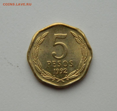 Чили 5 песо 1992 г. (без обращения) до 29.10.20 - DSCN2504.JPG
