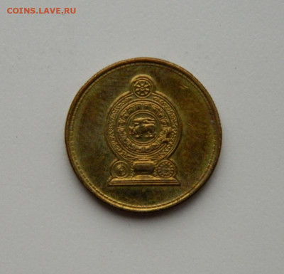 Шри-Ланка 1 рупия 2008 г. до 29.10.20 - DSCN2478.JPG