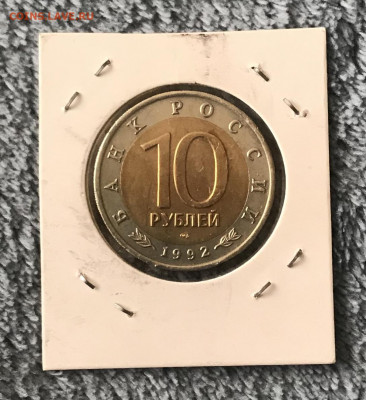 Амурский тигр, красная книга, до 28.10 22:00мск - 6AD44959-1621-4B89-BE22-635819F14866