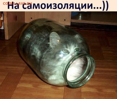 N-CoV(CoronaVirus) КоронаВирус.Последние новости - i