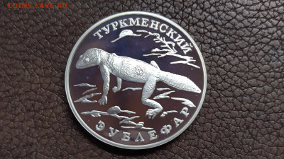 1рубль 1996 г. Туркменский эублефар до 01.11.20 22:00 - IMG_20201026_121301