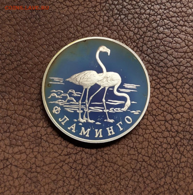 1 р. 1997г. Фламинго до 01.11.20 22:00 - IMG_20201026_123635