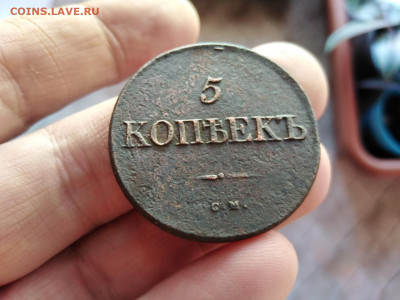 5 копеек 1831 СМ до 29.10.2020 - 1831 6