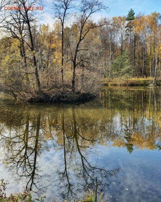 ФОТО - просто фото. Те что получились удачными. - IMG_20201025_145251_924